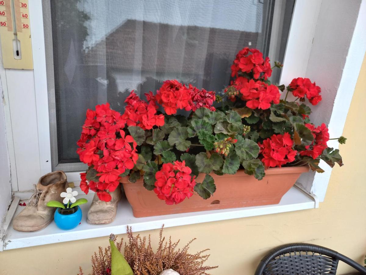 Oazis Apartman Sarospatak Luaran gambar
